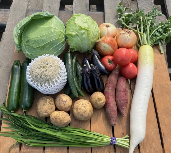 【メロン入り】訳あり野菜11種セット(本州と四国の方)※送料込み※