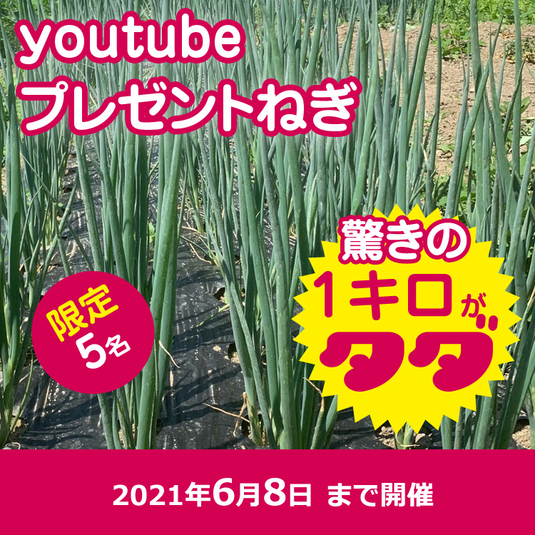 【youtube】須賀農園の青ネギプレゼント(送料も無料)