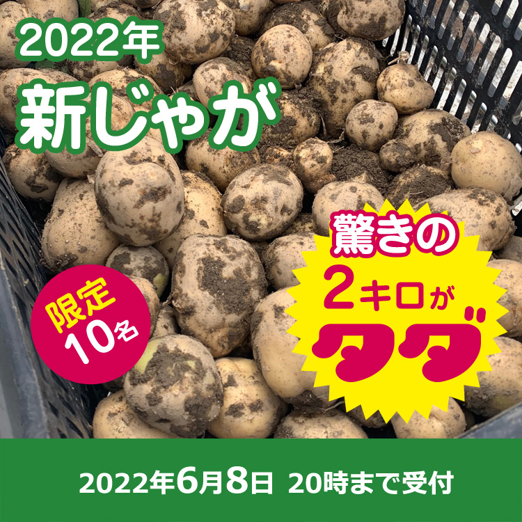 【プレゼント】新ジャガ第二弾