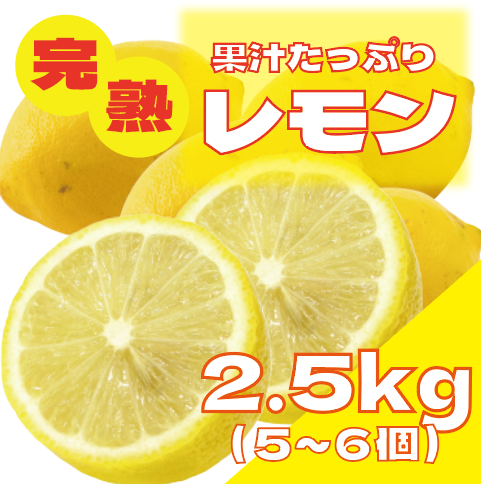 【爽やかな酸み!フレッシュもぎたてレモン】