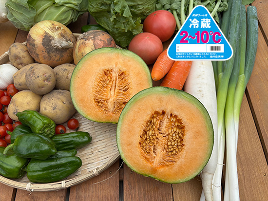 【メロン付き】野菜11品セット（本州と四国の方）