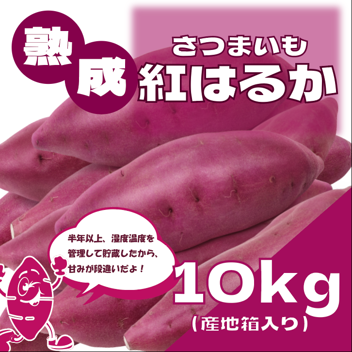 【サイズ無選別!熟成紅はるか10㎏!千葉県産!貴重な熟成さつまいも】