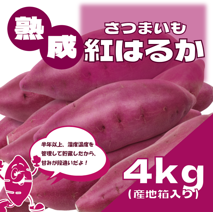 【サイズ無選別だからお買得!!80サイズ箱いっぱい!千葉県産紅はるか 貯蔵熟成】産直さつまいも