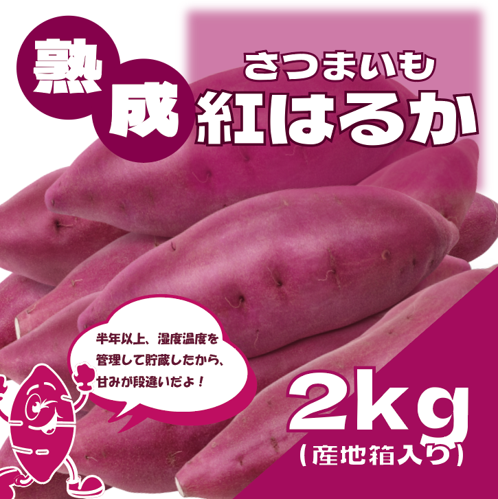 【サイズ無選別だからお買得!60サイズ箱いっぱい!千葉県産紅はるか 貯蔵熟成】産直 さつまいも