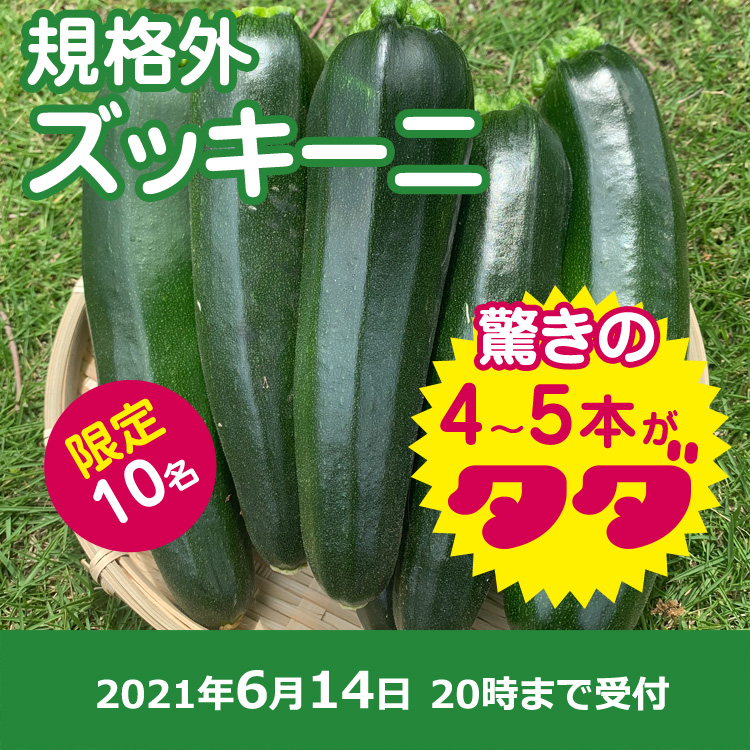 【プレゼント】ズッキーニ(4~5本)