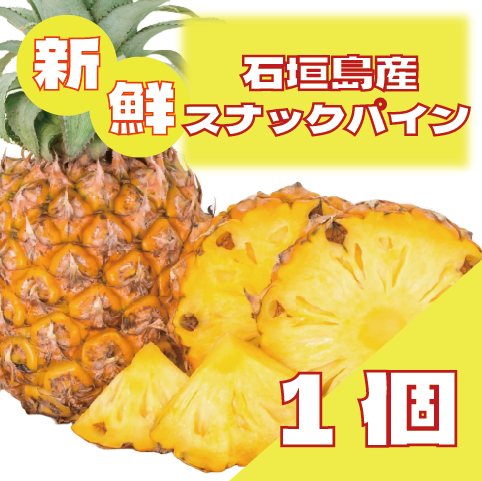 【石垣島産!スナックパイン!今大人気のスナックパインがお買い得!】