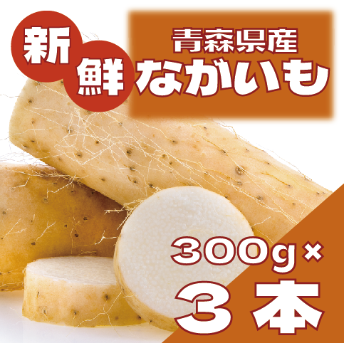 【隠れ大人気! 国産 長いも!300g×3本!扱いやすいサイズ】