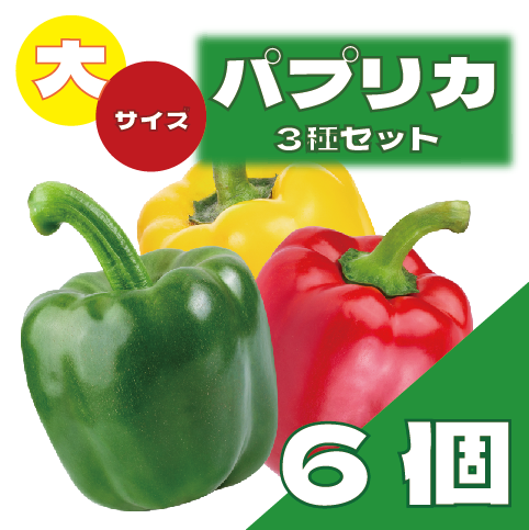 【お買い得国産パプリカ!!6玉入り!】豊洲市場発!