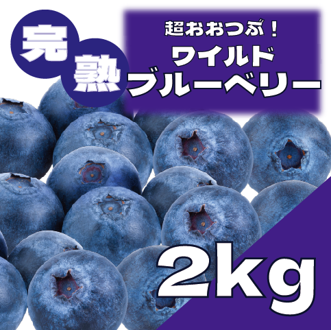 【冷凍ワイルドブルーベリー!希少なワイルドブルーベリー!】