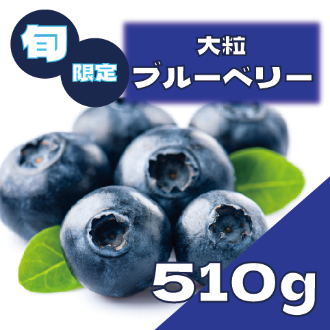 【大人気ブルーベリー!期間限定!たっぷり入ってお買い得!】