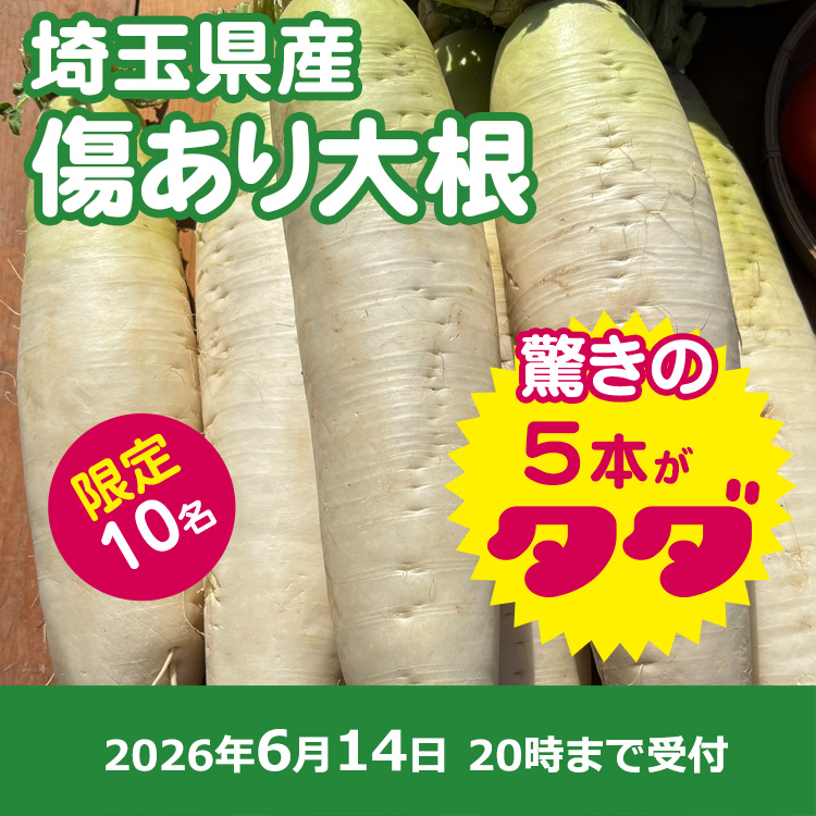 【プレゼント】訳あり大根