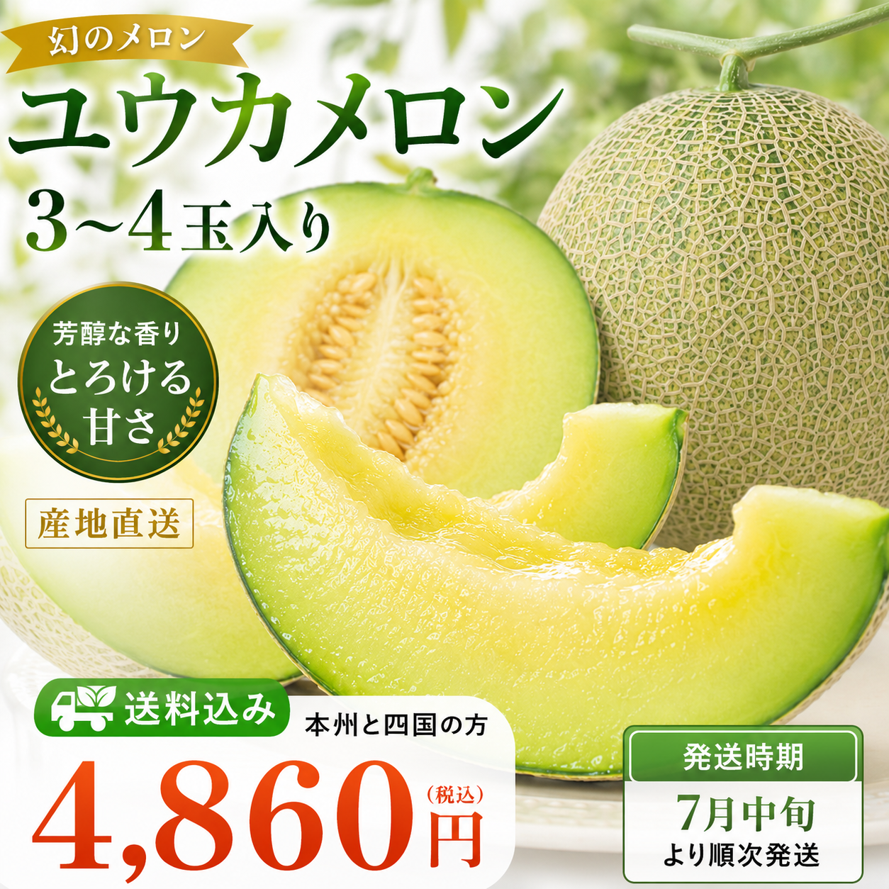 2026ユウカメロン3玉～4玉（本州・四国の方）