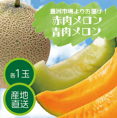 【豊洲市場発！赤肉、青肉メロン食べ比べ！夏の果物が届きました]  大人気メロンが2玉でお買い得