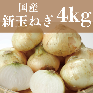 【80サイズ箱いっぱい!国産新玉ねぎ】豊洲市場仕入れ 旬
