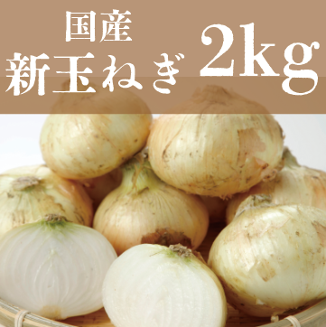 【60サイズ箱いっぱい!国産新玉ねぎ】豊洲市場仕入れ 旬
