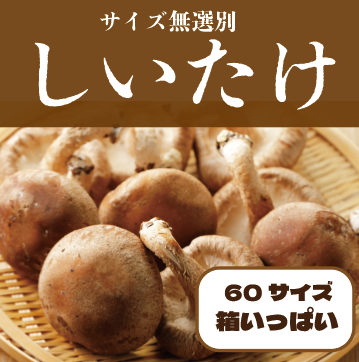 【箱いっぱい!房総しいたけ!産地直送 産直 道の駅直売所販売商品をお気軽に】