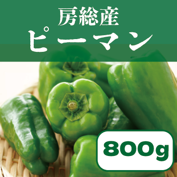 【60サイズ箱いっぱい!房総野菜!無限ピーマン! 千葉県産】 産地直送 産直 道の駅 直売所品をお手軽に