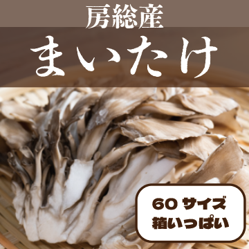 【60サイズ箱いっぱい!房総産まいたけ!舞茸】産地直送 産直 道の駅直売所品をお気軽に