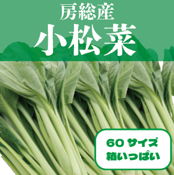 【箱いっぱい!房総産 朝どれ小松菜!】産地直送 産直 房総直売所商品をお手軽に 道の駅