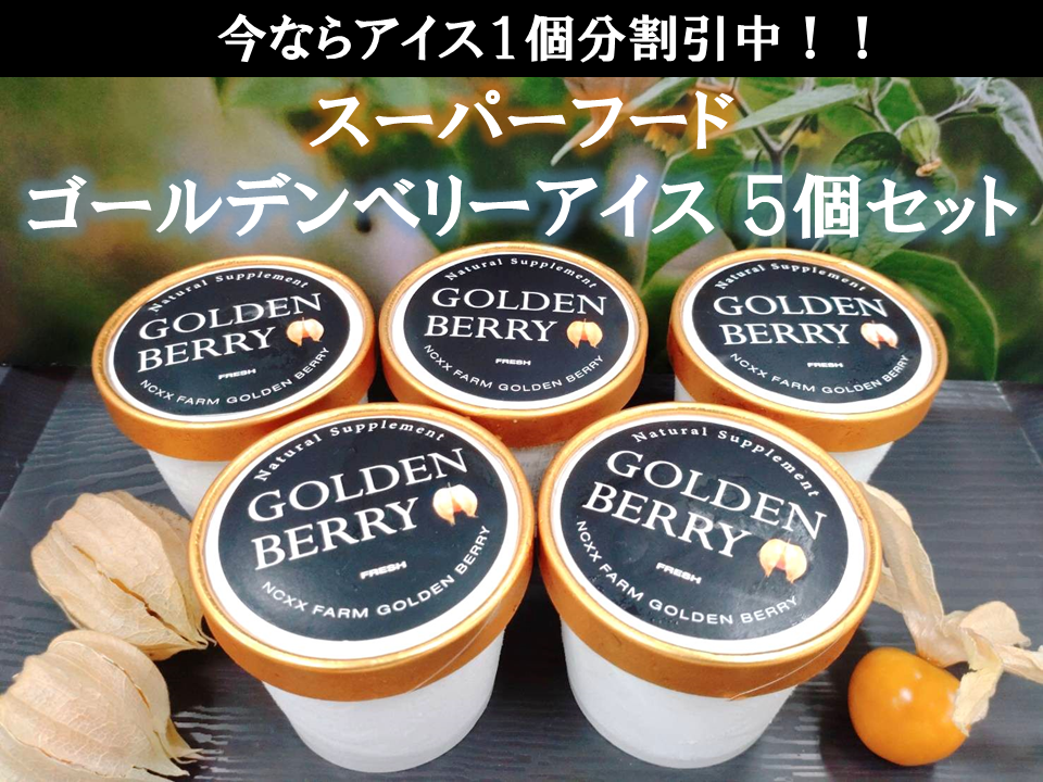 【期間限定 割引中】ゴールデンベリー(食用ほおずき) アイス 5個セット