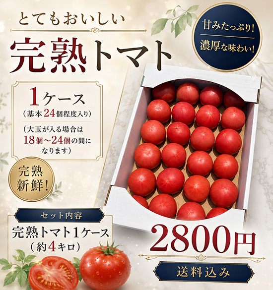 【完熟トマト】1ケース（本州と四国の方）※送料込み※