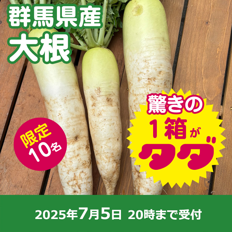 【プレゼント】規格外大根