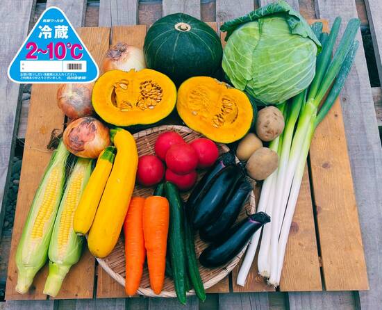 【かぼちゃプレゼント付き】訳あり野菜11種セット（北海道と九州の方）※クール送料込み※