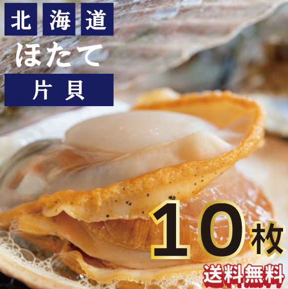 【本格BBQに!北海道産片貝ホタテ!10枚入り!下処理不要で使いやすい!】市場仕入れ