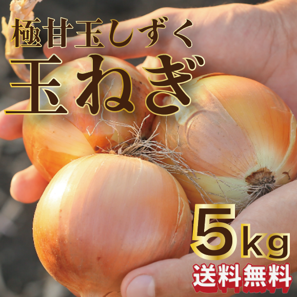 【圧倒的価格!ブランドたまねぎ!玉しずく!5㎏!常備菜の代表格!国産!】市場発