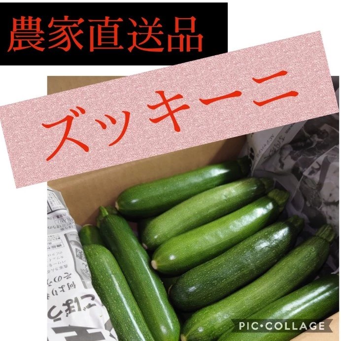 ♡ ズッキーニ ♡