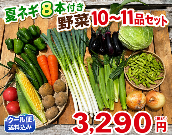 【夏ネギ8本入り】訳アリ野菜10～11種（本州と四国の方）※送料込み※
