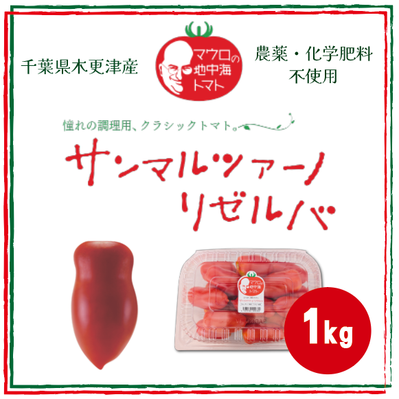 【サンマルツァーノ リゼルバ!! とまと 本格イタリアンに! パスタ】生でも美味しい 産地直送 1kg 農家直送 房総産