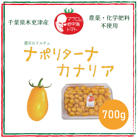 【ナポリターナカナリア!! とまと ミニトマト プチトマト カラートマト】 産地直送 700g 千葉県木更津産 農家直送