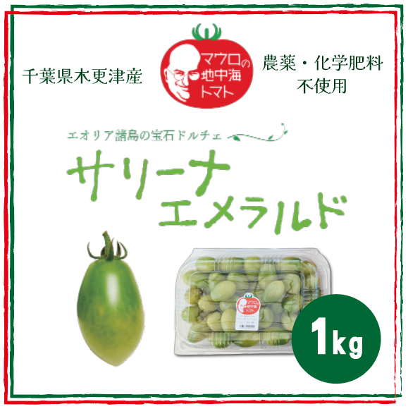 【サリーナエメラルド!! とまと ミニトマト プチトマト カラートマト】 産地直送 千葉県木更津産 1kg 農家直送