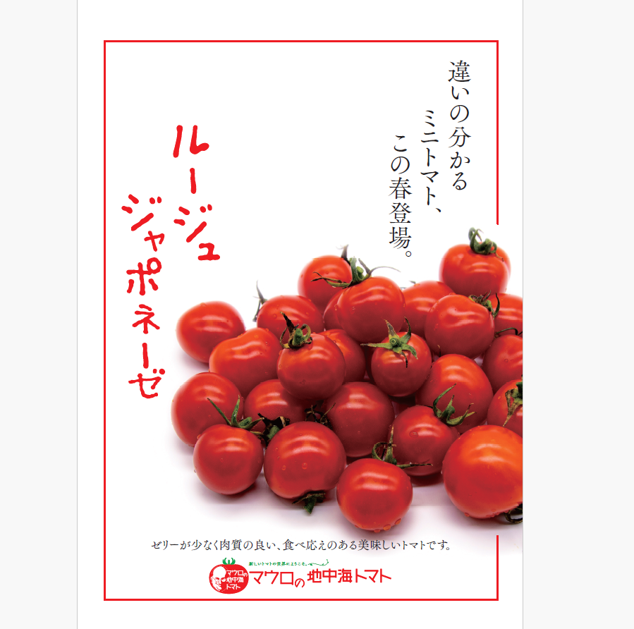 【ルージュ ジャポネーゼ!! トマト ミニトマト プチトマト】 産地直送 千葉県木更津産 700g 農家直送