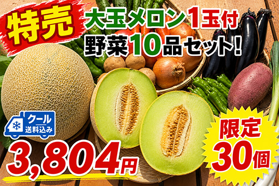 【特売メロン付き】訳アリ野菜10種（北海道と九州の方）※クール送料込み※