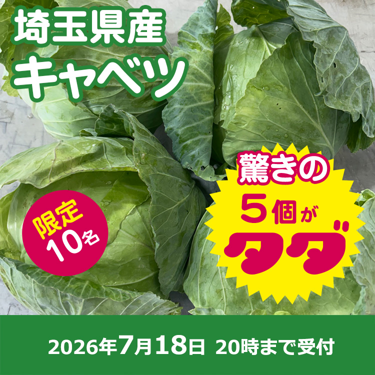 【プレゼント】キャベツ5個
