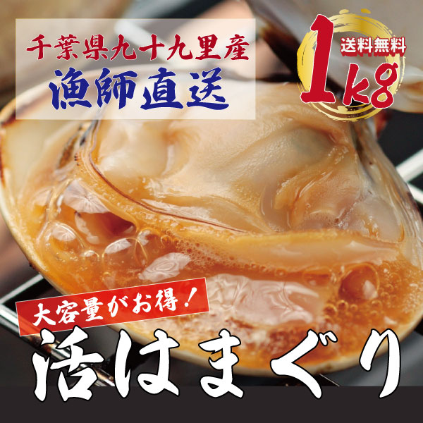 【水揚げ次第発送!期間限定!活!九十九里産!ハマグリ!鮮度抜群!1kg!】手描き漁で漁師が厳選した蛤 サイズ無選別!産地直送でお届けします