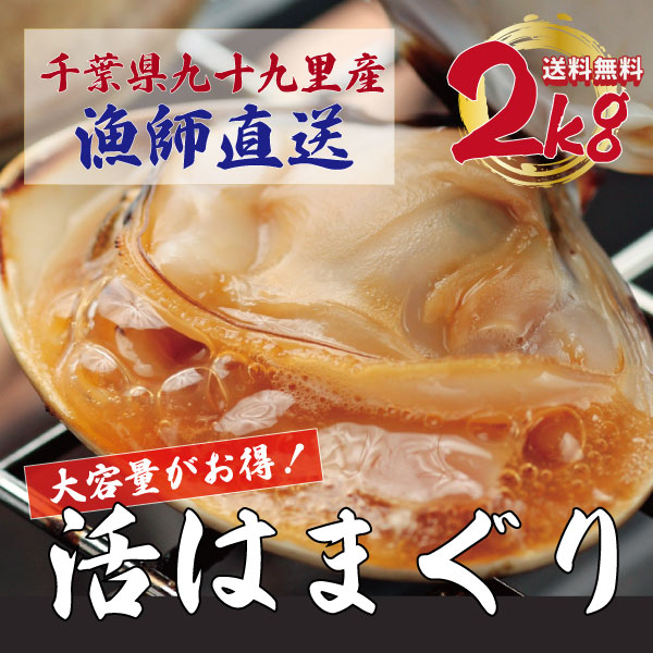 【水揚げ次第発送!期間限定!活!九十九里産!ハマグリ!鮮度抜群!2kg!】手描き漁で漁師が厳選した蛤 サイズ無選別!産地直送でお届けします
