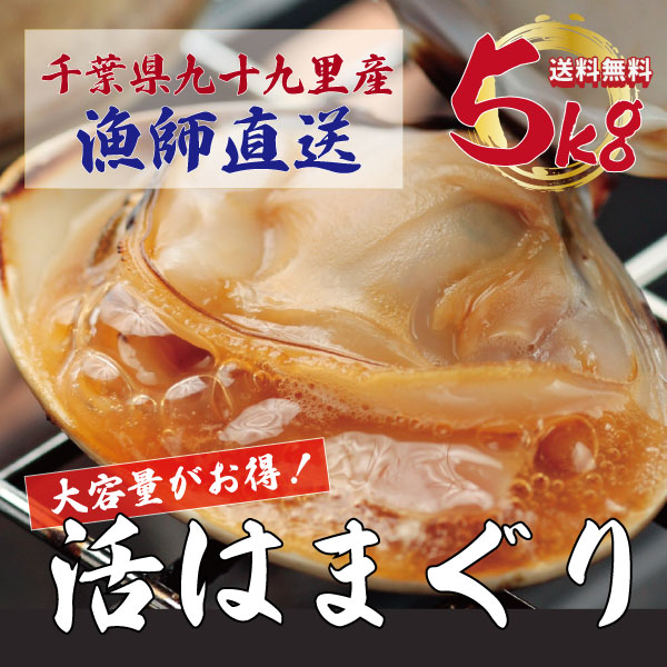 【水揚げ次第発送!期間限定!活!九十九里産!ハマグリ!鮮度抜群!大容量がお買い得の5kg!】手描き漁で漁師が厳選した蛤 サイズ無選別!産地直送でお届けします