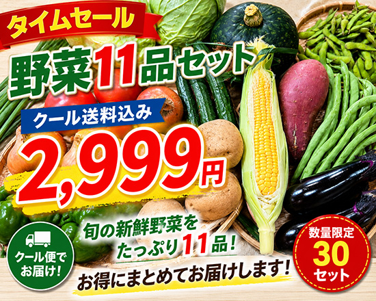 【タイムセール】7/18訳アリ野菜2999円！（本州と四国の方）※送料込み※