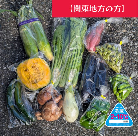 【関東地方へ配送の方】【80サイズが圧倒的お買い得!!箱いっぱい!新鮮房総旬の野菜箱いっぱいセット 旬の房総野菜を80サイズ弊社専用資材に詰め合わせ】産地直送 産直