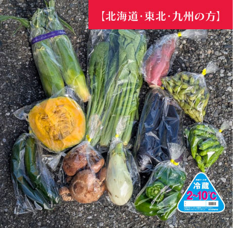 【北海道・東北・九州へ配送の方】【80サイズが圧倒的お買い得!!箱いっぱい!新鮮房総旬の野菜箱いっぱいセット 旬の房総野菜を80サイズ弊社専用資材に詰め合わせ】産地直送 産直