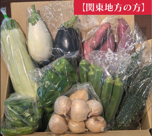 【関東地方へ配送の方】【箱いっぱい!新鮮房総旬の野菜箱いっぱいセット 旬の野菜を60サイズ弊社専用資材に詰め合わせ】産地直送 産直 房総直売所をご家庭に