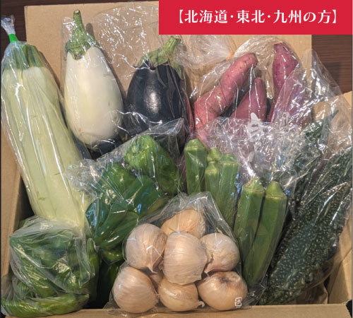【北海道・東北・九州へ配送の方】【箱いっぱい!新鮮房総旬の野菜箱いっぱいセット 旬の野菜を60サイズ弊社専用資材に詰め合わせ】産地直送 産直 房総直売所をご家庭に
