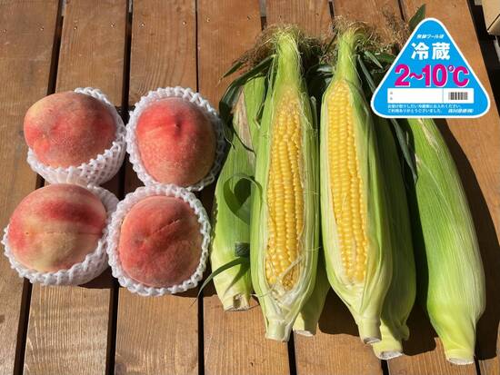 美味しい桃と朝採りとうもろこし(北海道と九州の方)※クール送料込み※