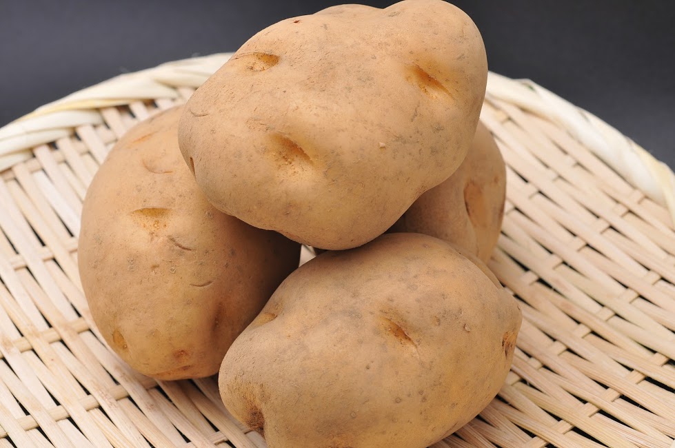 ☆群馬県で作ったおいしいじゃがいも10㎏(男爵)☆【青木さんちの野菜】※サイズ不選別(混合)【関東・東北・中部発送】