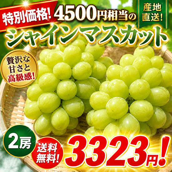 【予約】シャインマスカット2房　3323円！（北海道と九州の方）※送料込み※