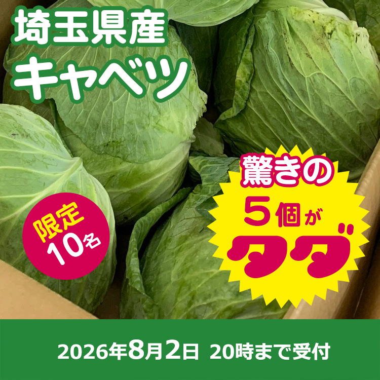 【プレゼント】規格外キャベツ5個