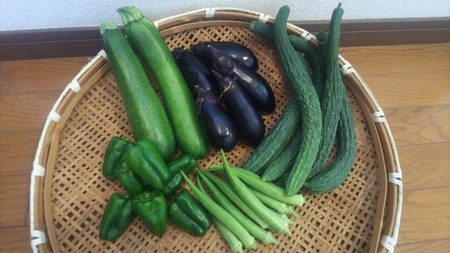 「完全無肥料、無農薬、自然農法産のお野菜７点」セット※北海道、九州地方向け